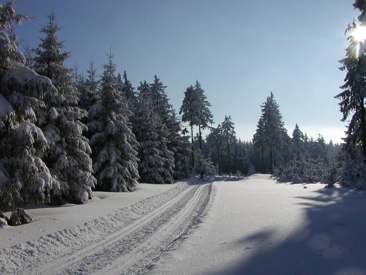 Ferienwohnung Petzold Altenberg Екстер'єр фото