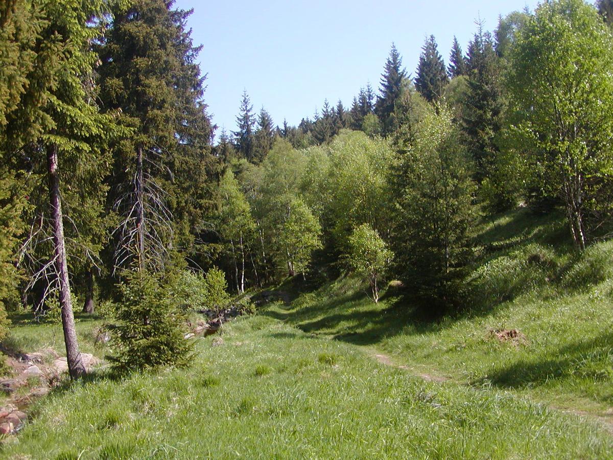 Ferienwohnung Petzold Altenberg Екстер'єр фото